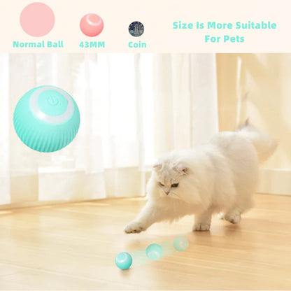 KatzenTanz™ - Activate your cat's natural instincts!