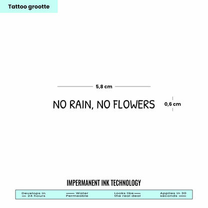 No Rain No Flowers