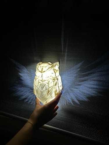 Spread The Wings Modern Luminous Lamp