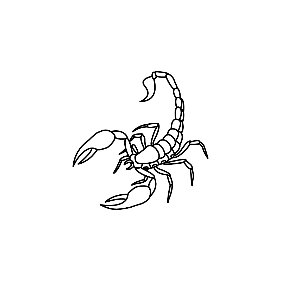 Scorpion