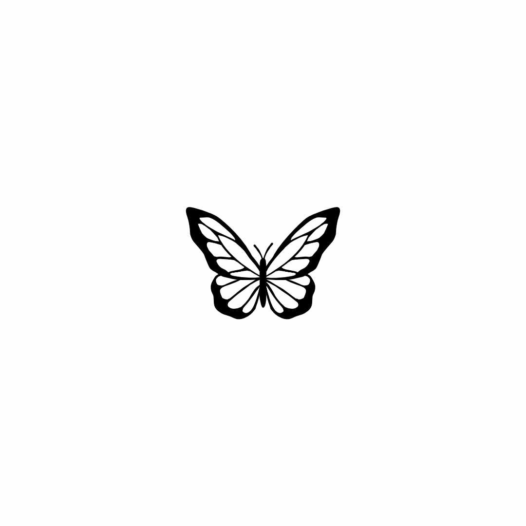 Small Butterfly